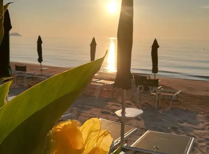 Trilocale Ristrutturato A 200m Dal Mare:vinci246 阿拉西奥